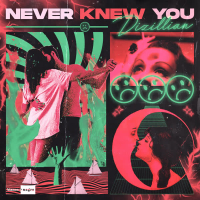 Never Knew You (Single)