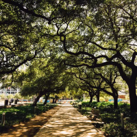 도시 속 선율 (Single)