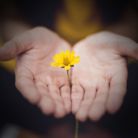 Instant Mindfulness with Wind Chimes Sounds (Single)