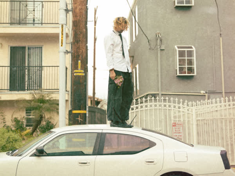 Hurt My Feelings (Single)