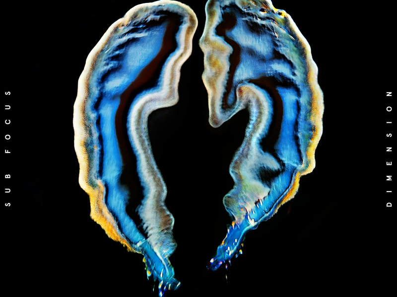 Ready To Fly (NGHTMRE Remix) (Single)