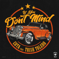 If You Don't Mind (feat. Trish Toledo) (Single)