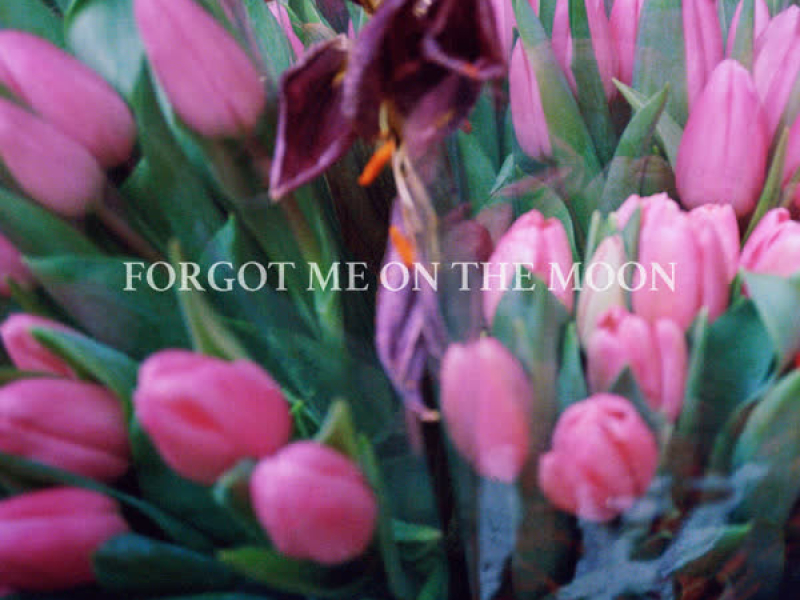 Forgot Me On The Moon (Single)