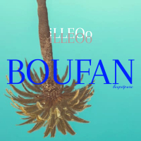 BOUFAN (Single)