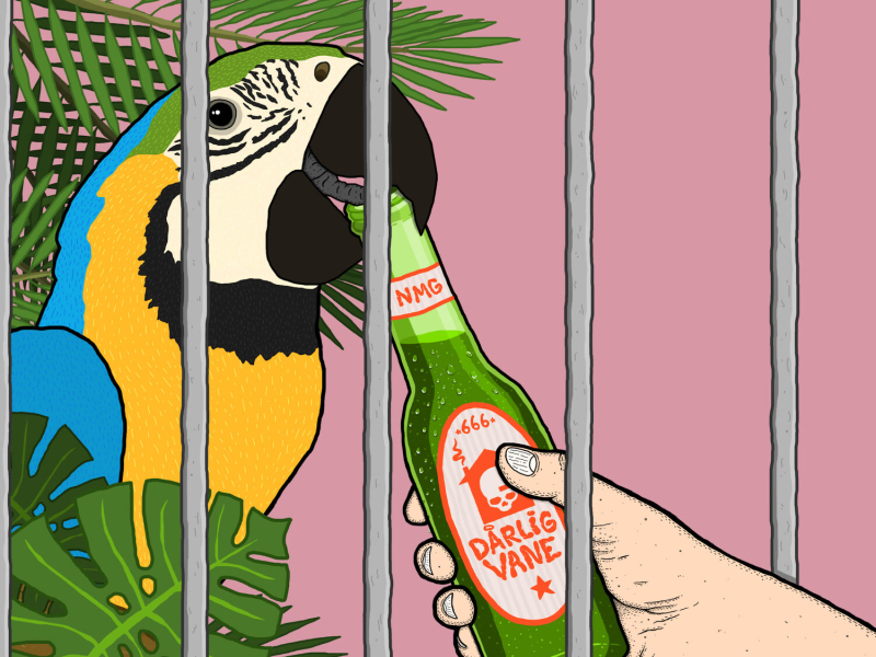 Fugler I Bur (Single)