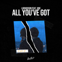 All You've Got (Single)