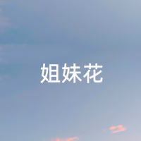 姐妹花 (Single)