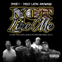 Not Like Me (feat. Seff Tha Gaffla & Rico) (Single)