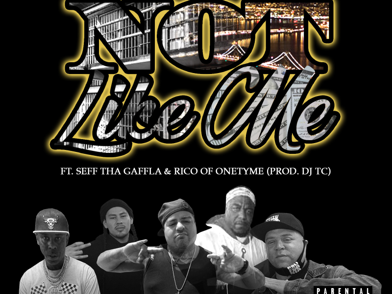 Not Like Me (feat. Seff Tha Gaffla & Rico) (Single)
