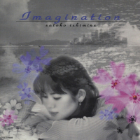 Imagination