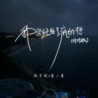 我曾经发了疯的想 (对唱版) (Single)