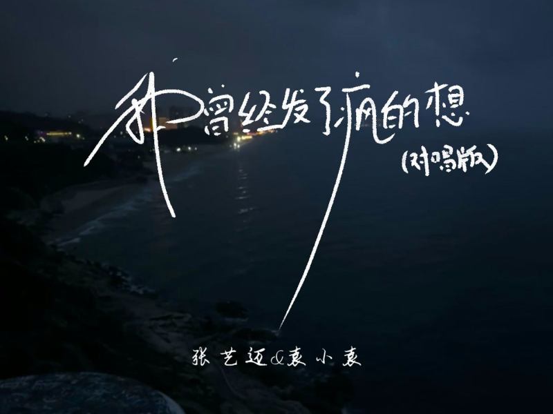 我曾经发了疯的想 (对唱版) (Single)