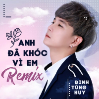 Anh Đã Khóc Vì Em (Remix) (Single)