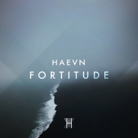 Fortitude (Single)