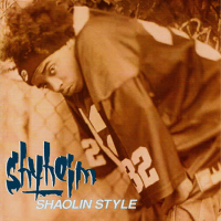 Shaolin Style