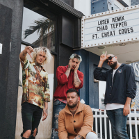 Loser (Remix) (Single)