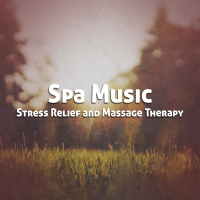 Spa Music for Stress Relief and Massage Therapy (Single)