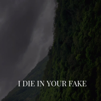 I Die in Your Fake