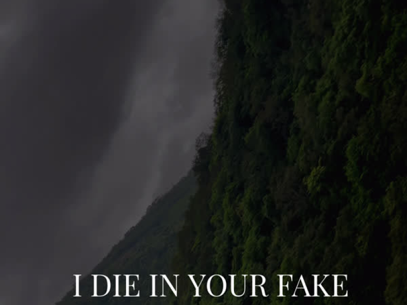 I Die in Your Fake