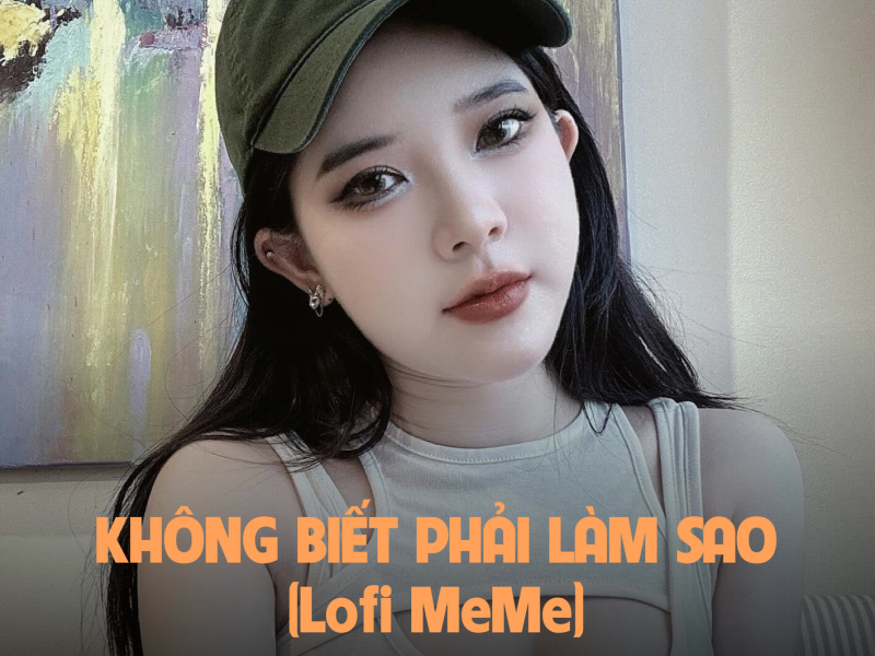 Không Biết Phải Làm Sao (MeMe Lofi) (Single)