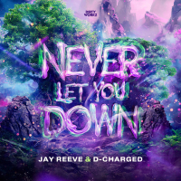 Never Let You Down (Single)