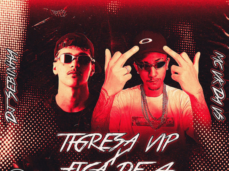 Tigresa Vip Fica De 4 (Single)