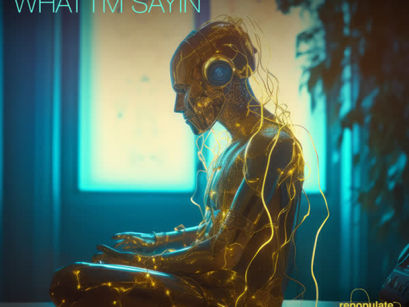 What I'm Sayin (Single)