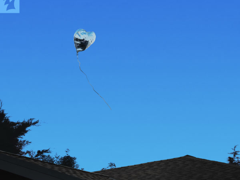 Bittersweet (Single)