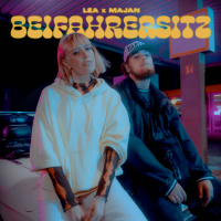 Beifahrersitz (Single)