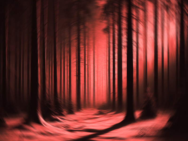 Padá Sníh (Single)