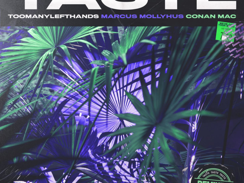 Taste (feat. Conan Mac) [Remixes] (Single)