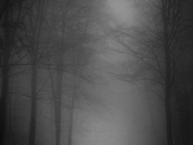 Welcome to Path (Single)