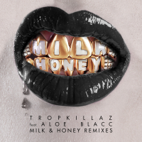 Milk & Honey (Remixes) (Single)