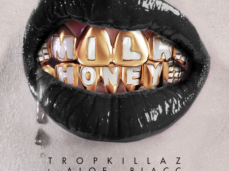 Milk & Honey (Remixes) (Single)