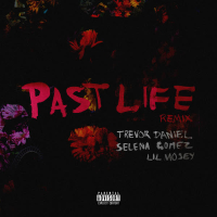 Past Life (Remix) (Single)