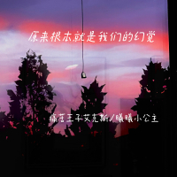 原来根本就是我们的幻觉 (Single)