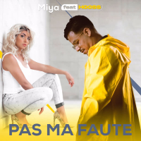 Pas Ma Faute feat. Hooss (Single)