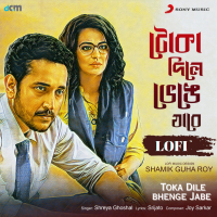 Toka Dile Bhenge Jabe (Lofi) (Single)