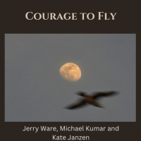 COURAGE TO FLY (Single)