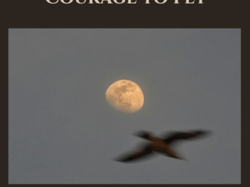 COURAGE TO FLY (Single)