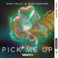 Pick Me Up (VAVO Remix) (Single)