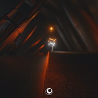 Like An Animal (feat. Andrew Nagy) (Single)