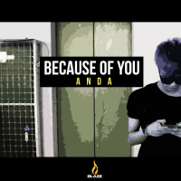 Because Of You (Original Mix) (Single)