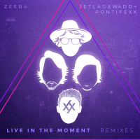 Live in the Moment (Remixes)