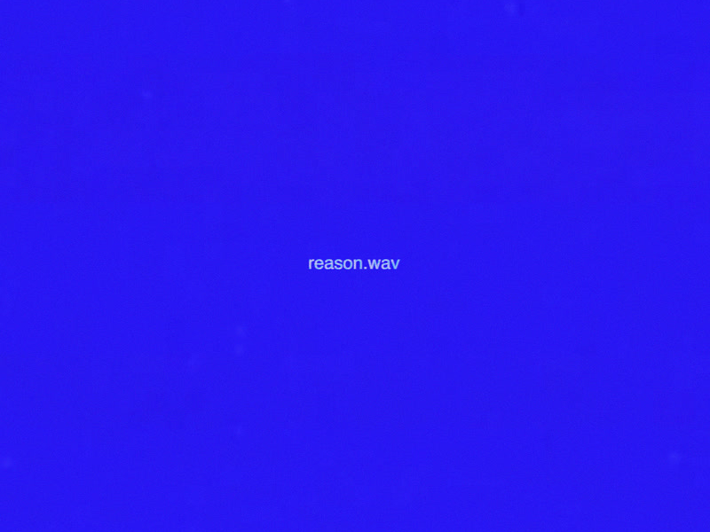 reason.wav (Single)