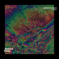 Gotten (Radio Edit) (Single)