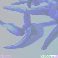 Velocity (Single)