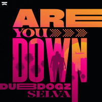 Are You Down (Single)