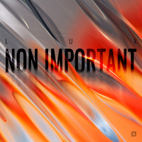 Non Important (Single)