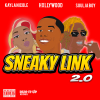 Sneaky Link 2.0 (Single)